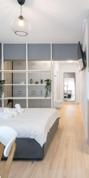 Springview Studio